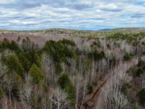 Lot 16 Upper Dobsis Road Lakeville ME 04487