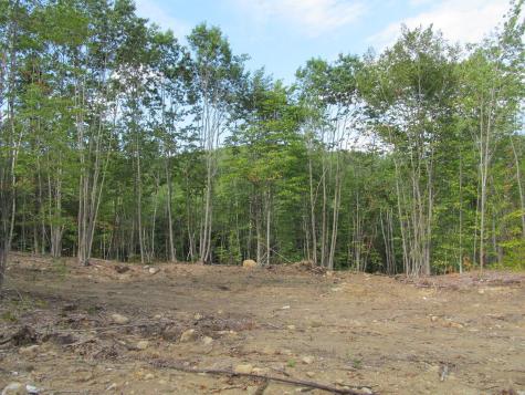 6.46 End Mcallister Road Buckfield ME 04220