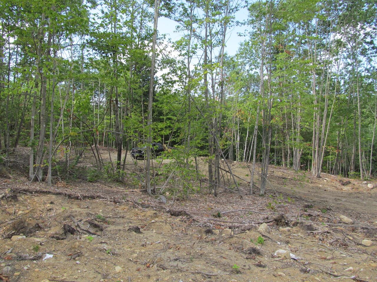 6.46 End Mcallister Road Buckfield ME 04220