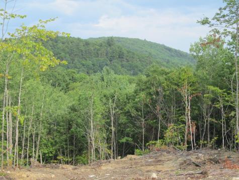 6.46 End Mcallister Road Buckfield ME 04220