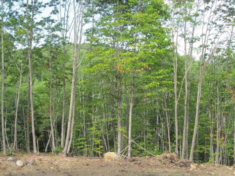 6.46 End Mcallister Road Buckfield ME 04220