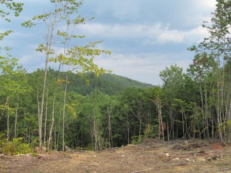 6.46 End Mcallister Road Buckfield ME 04220