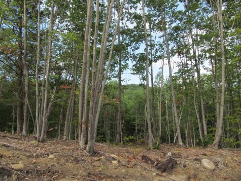 6.46 End Mcallister Road Buckfield ME 04220