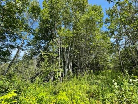 Lot 9 Wilcox Road Trescott Twp ME 04652