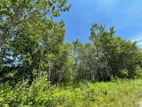 Lot 9 Wilcox Road Trescott Twp ME 04652