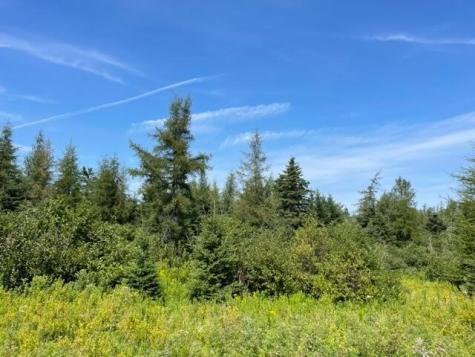 Lot 9 Wilcox Road Trescott Twp ME 04652