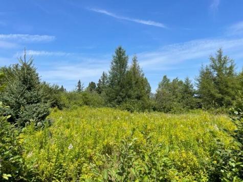 Lot 9 Wilcox Road Trescott Twp ME 04652