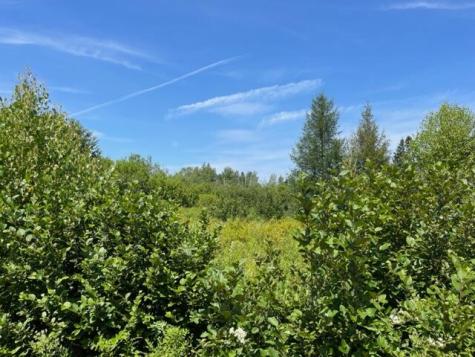 Lot 9 Wilcox Road Trescott Twp ME 04652
