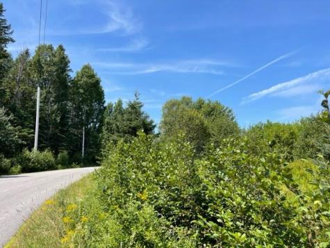 Lot 9 Wilcox Road Trescott Twp ME 04652