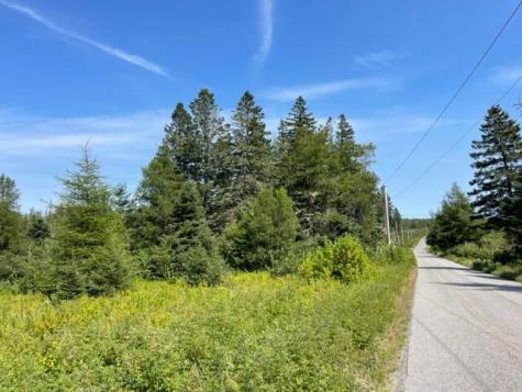 Lot 9 Wilcox Road Trescott Twp ME 04652