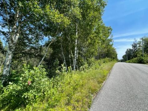 Lot 9 Wilcox Road Trescott Twp ME 04652