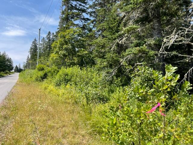 Lot 9 Wilcox Road Trescott Twp ME 04652