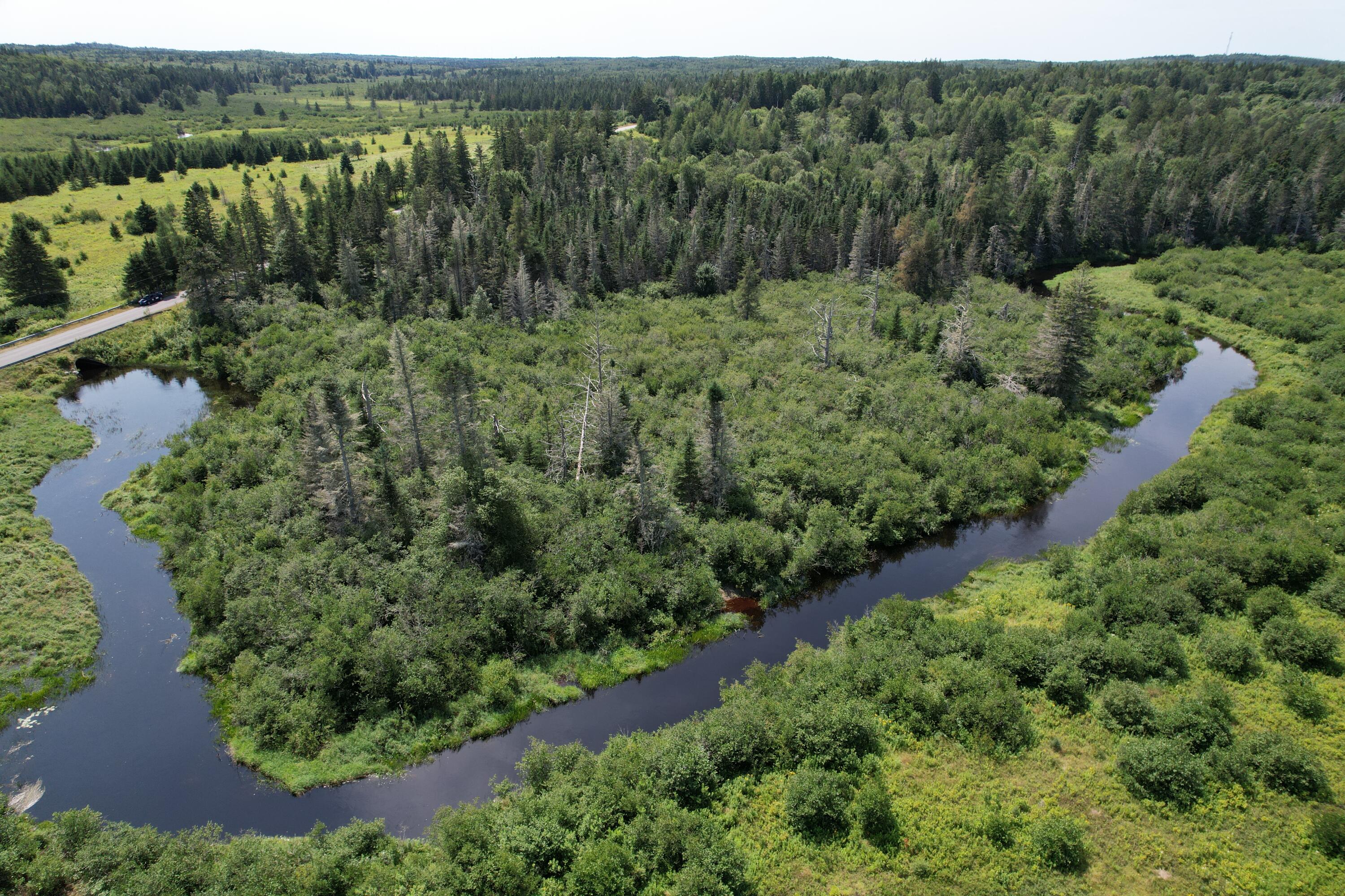 Lot 9 Wilcox Road Trescott Twp ME 04652