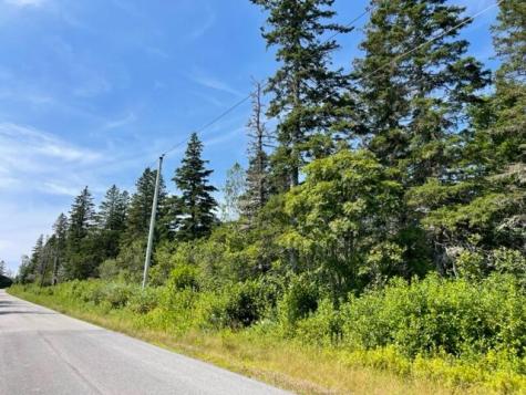 Lot 9 Wilcox Road Trescott Twp ME 04652