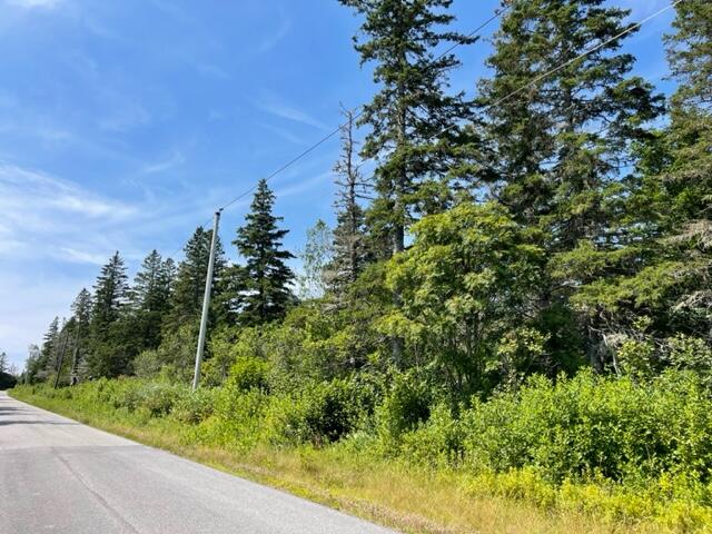Lot 9 Wilcox Road Trescott Twp ME 04652
