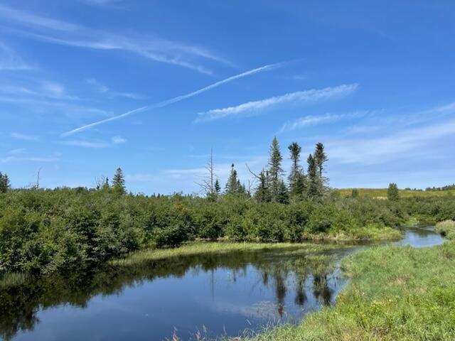 Lot 9 Wilcox Road Trescott Twp ME 04652