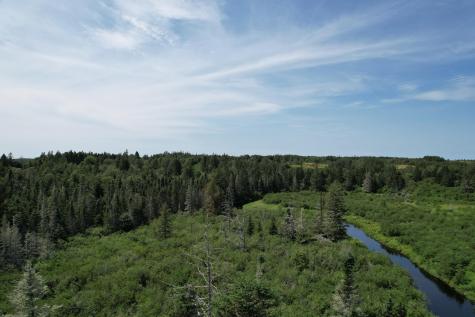 Lot 9 Wilcox Road Trescott Twp ME 04652