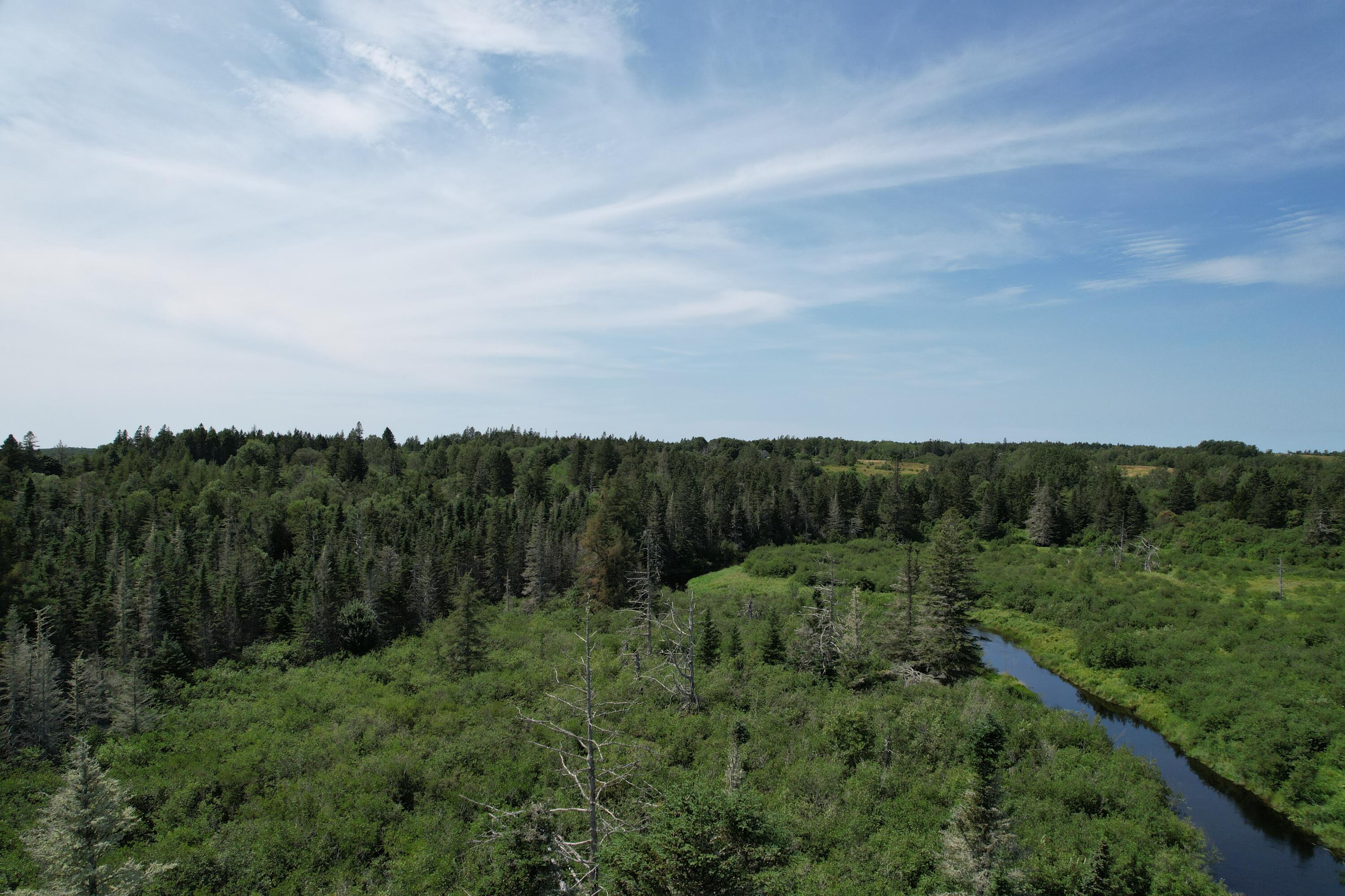 Lot 9 Wilcox Road Trescott Twp ME 04652