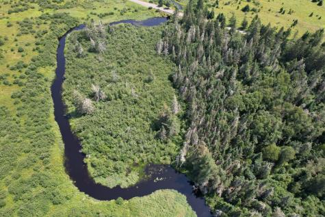 Lot 9 Wilcox Road Trescott Twp ME 04652