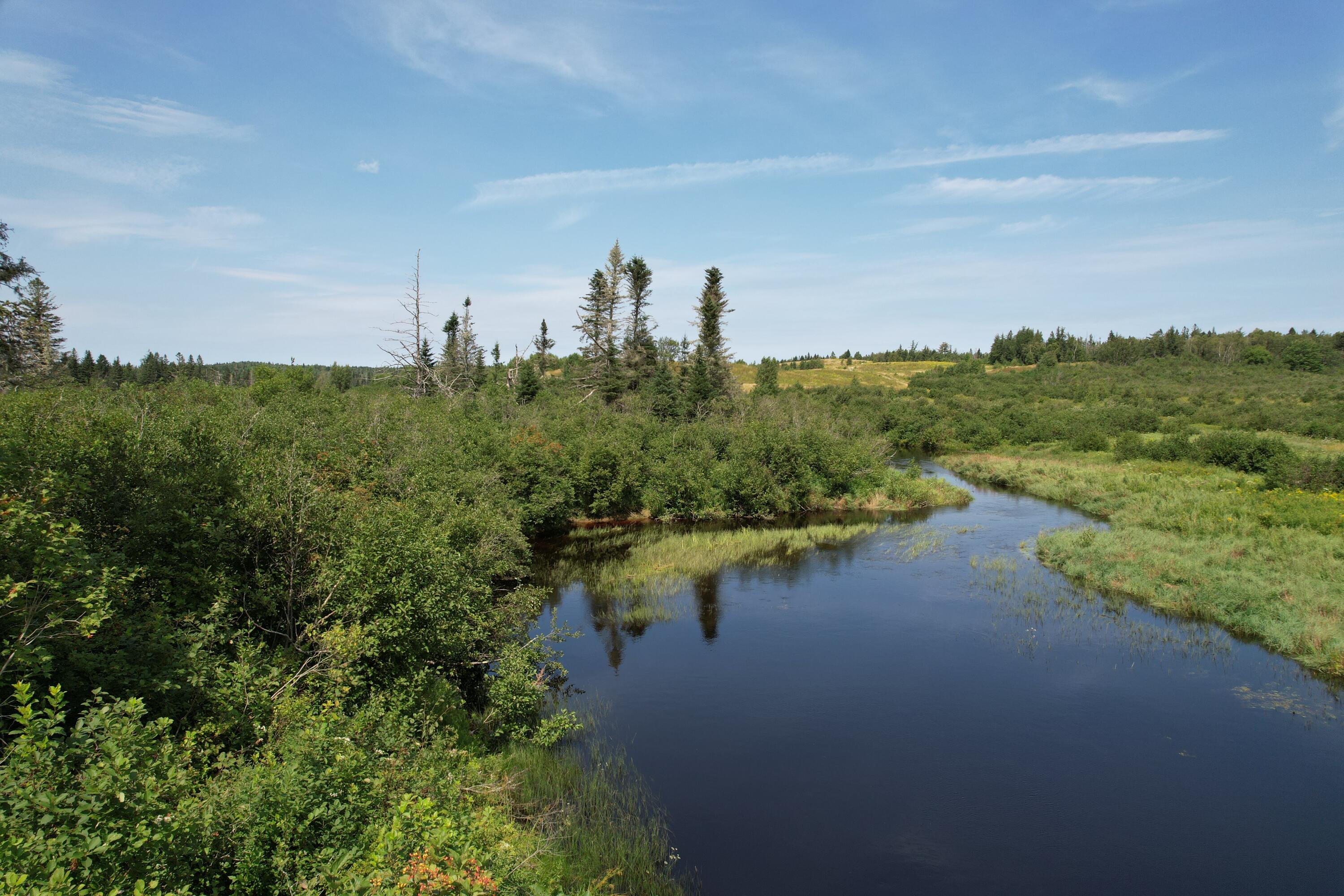 Lot 9 Wilcox Road Trescott Twp ME 04652