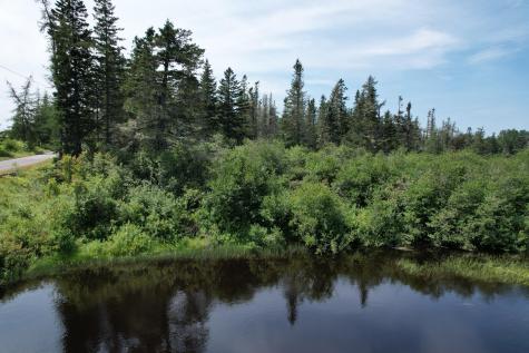 Lot 9 Wilcox Road Trescott Twp ME 04652