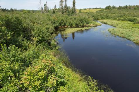 Lot 9 Wilcox Road Trescott Twp ME 04652