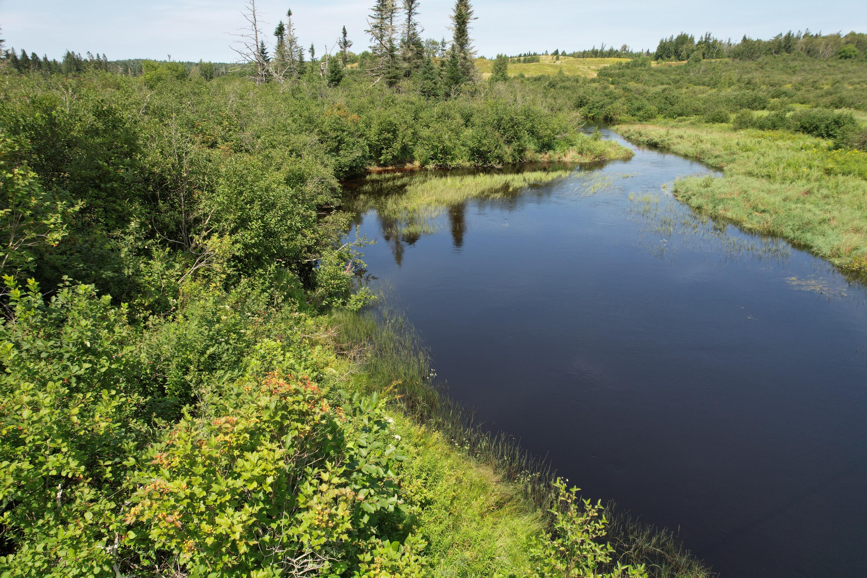 Lot 9 Wilcox Road Trescott Twp ME 04652