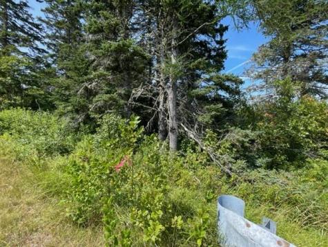 Lot 9 Wilcox Road Trescott Twp ME 04652
