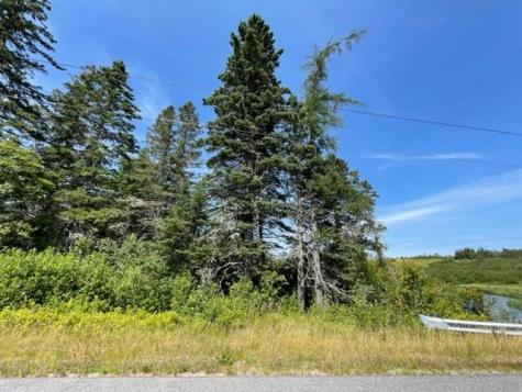 Lot 9 Wilcox Road Trescott Twp ME 04652