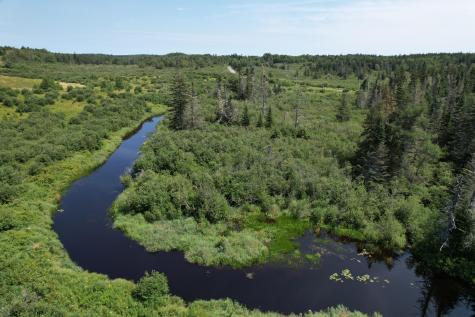 Lot 9 Wilcox Road Trescott Twp ME 04652