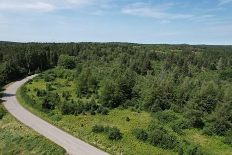 Lot 9 Wilcox Road Trescott Twp ME 04652