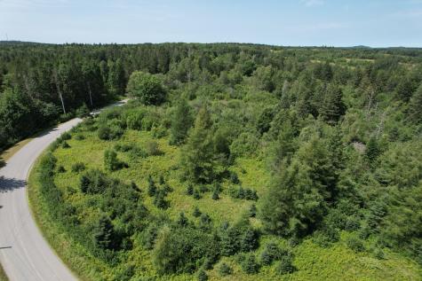 Lot 9 Wilcox Road Trescott Twp ME 04652