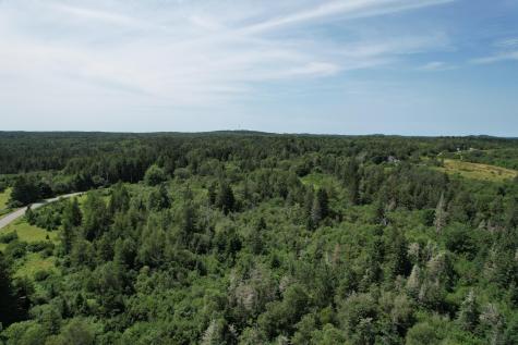 Lot 9 Wilcox Road Trescott Twp ME 04652