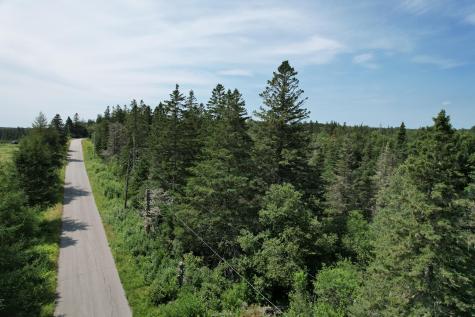 Lot 9 Wilcox Road Trescott Twp ME 04652