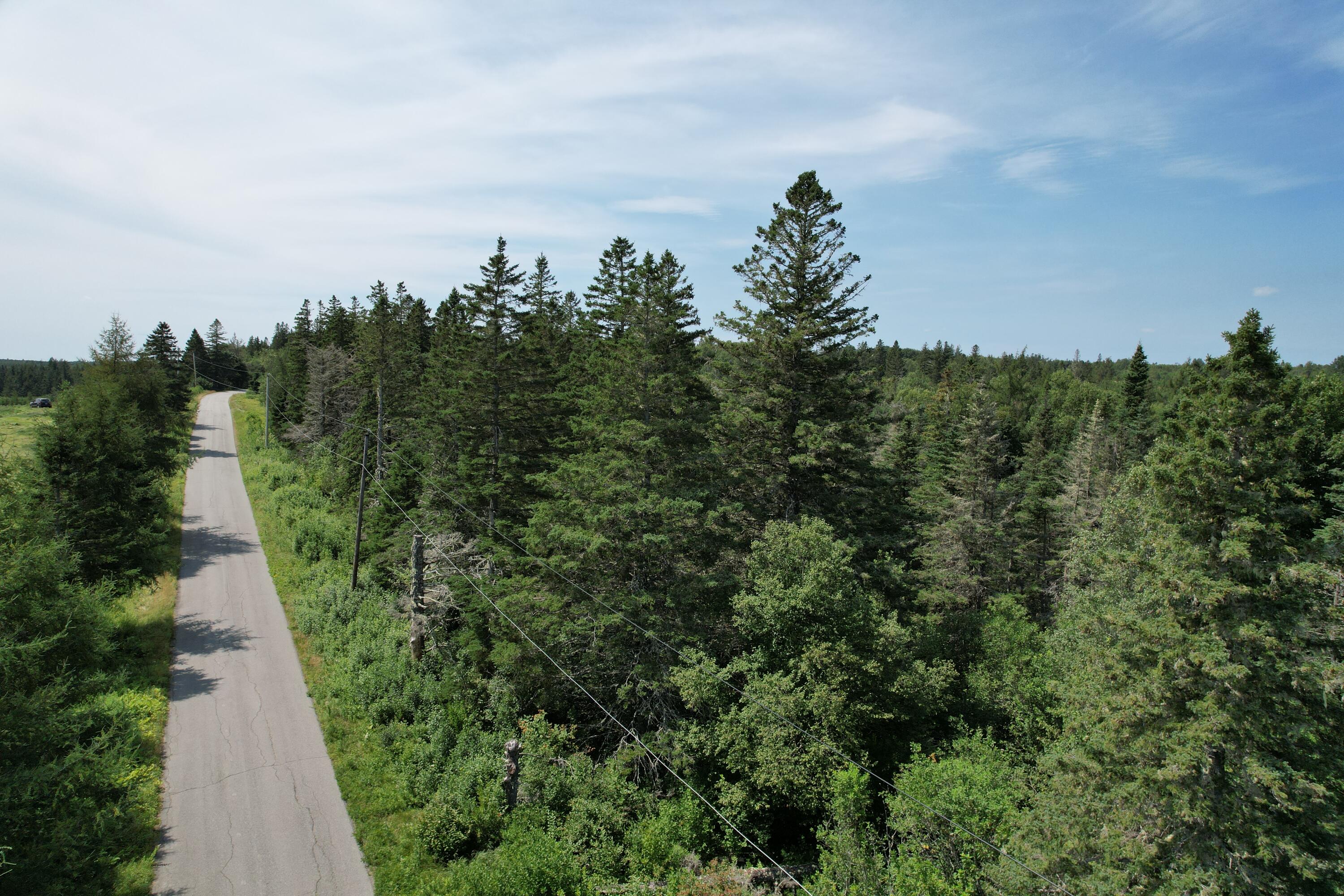 Lot 9 Wilcox Road Trescott Twp ME 04652