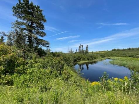 Lot 9 Wilcox Road Trescott Twp ME 04652