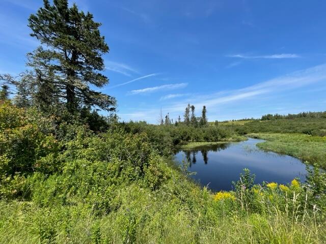 Lot 9 Wilcox Road Trescott Twp ME 04652