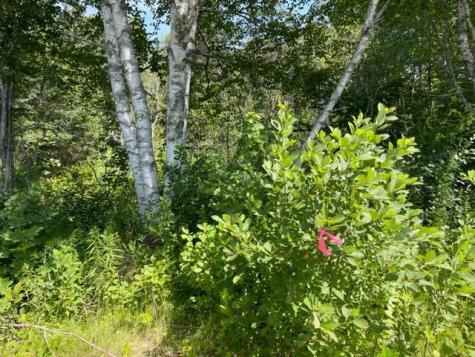 Lot 9 Wilcox Road Trescott Twp ME 04652