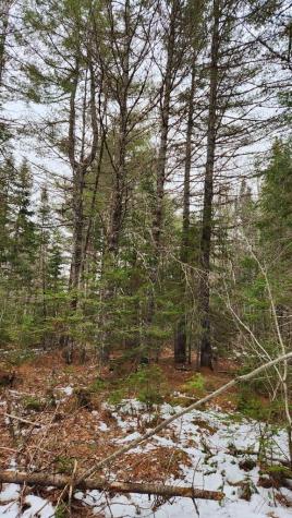 Lot 007 Old County Road Mariaville ME 04605