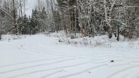 Lot 007 Old County Road Mariaville ME 04605