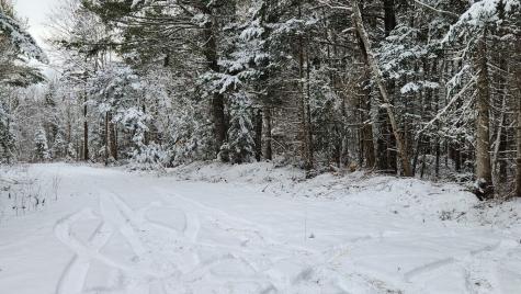Lot 007 Old County Road Mariaville ME 04605