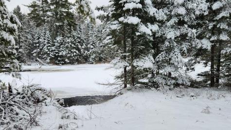 Lot 007 Old County Road Mariaville ME 04605