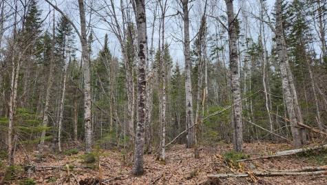 Lot 007 Old County Road Mariaville ME 04605
