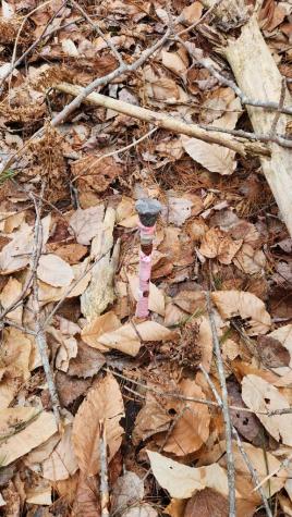 Lot 007 Old County Road Mariaville ME 04605