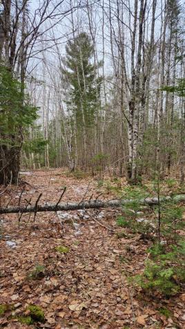 Lot 007 Old County Road Mariaville ME 04605