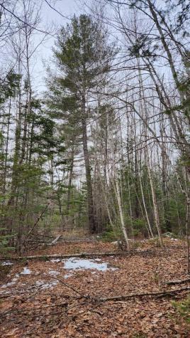 Lot 007 Old County Road Mariaville ME 04605