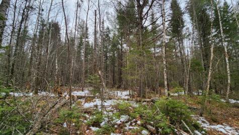 Lot 007 Old County Road Mariaville ME 04605