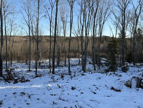 0 Bushey Shore Road Palermo ME 04354