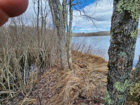 0 Bushey Shore Road Palermo ME 04354