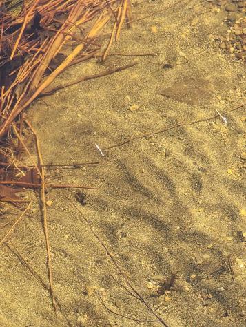 0 Bushey Shore Road Palermo ME 04354